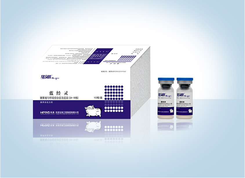 �������ˡ�(�й���) - �ٷ���վ