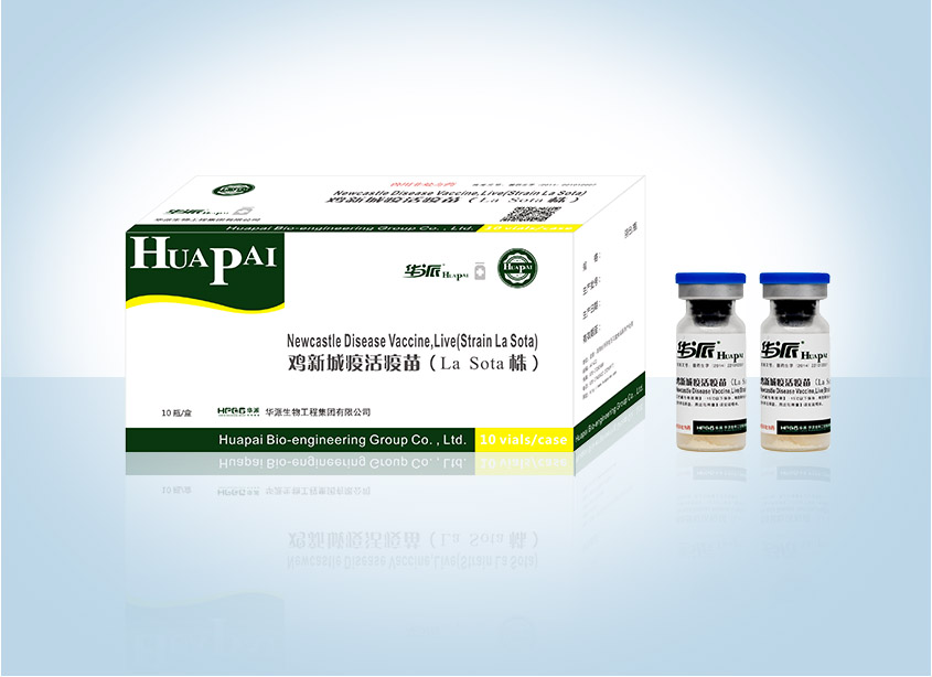 �������ˡ�(�й���) - �ٷ���վ