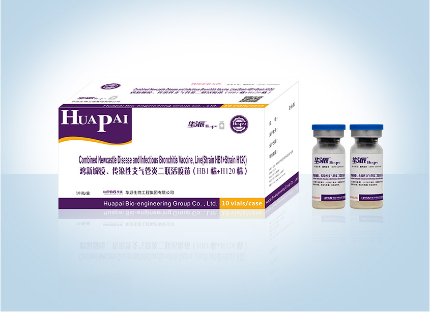 �������ˡ�(�й���) - �ٷ���վ