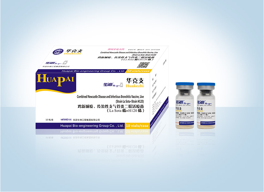 �������ˡ�(�й���) - �ٷ���վ