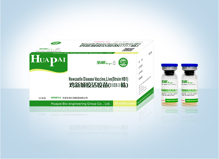 �������ˡ�(�й���) - �ٷ���վ