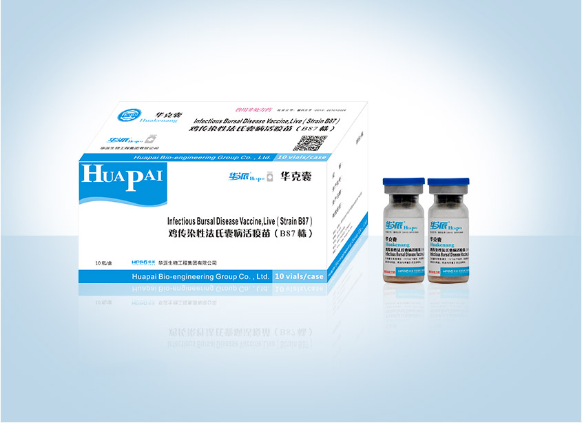 �������ˡ�(�й���) - �ٷ���վ