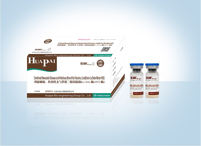 �������ˡ�(�й���) - �ٷ���վ