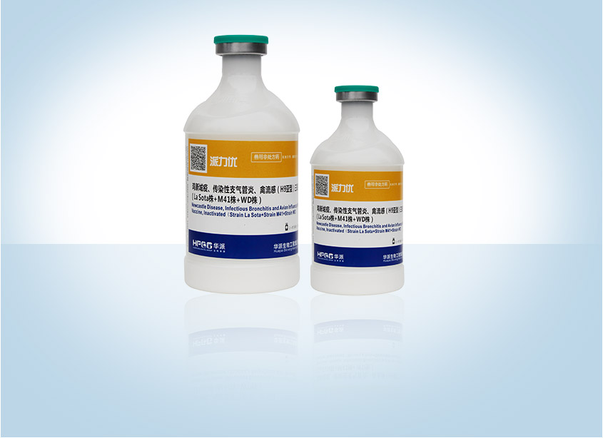 �������ˡ�(�й���) - �ٷ���վ