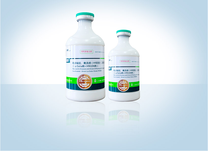 �������ˡ�(�й���) - �ٷ���վ