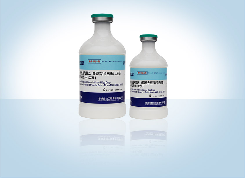 �������ˡ�(�й���) - �ٷ���վ