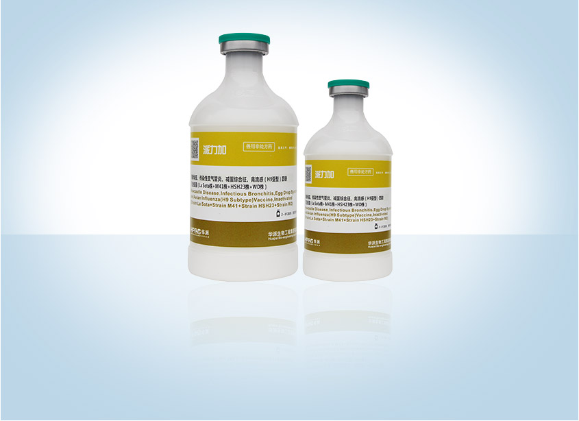 �������ˡ�(�й���) - �ٷ���վ